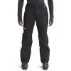 THE NORTH FACE Men’s Freedom Ski Pants -The North Face shop 2074622 001 main