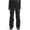 THE NORTH FACE Women’s Freedom Insulated Pant -The North Face shop 2074644 001 main