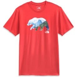 THE NORTH FACE Men's Bear Short-Sleeve Tee -The North Face shop 2078801 601 alt2