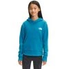 THE NORTH FACE Girls’ Camp Fleece Pullover Hoodie -The North Face shop 2078947 405 main