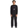 THE NORTH FACE Kids' Teen Freedom Insulated Bibs -The North Face shop 2082796 001 main