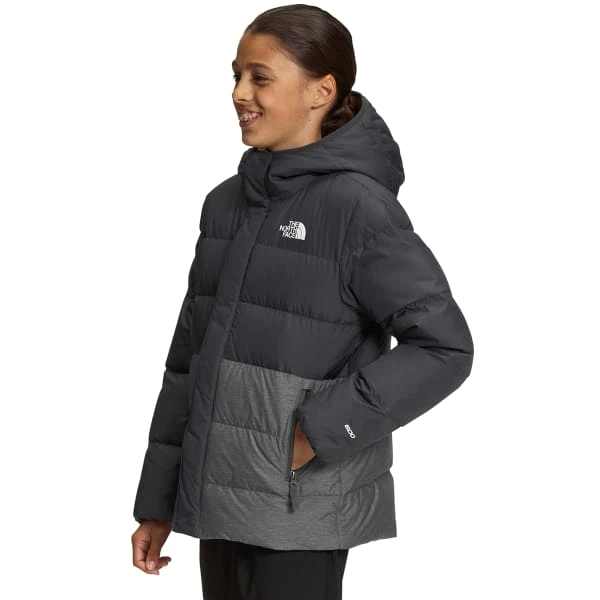 THE NORTH FACE Boys’ North Down Fleece-Lined Parka 5 THE NORTH FACE Boys’ North Down Fleece-Lined Parka - Image 3