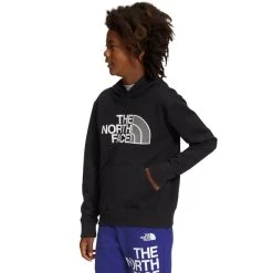 THE NORTH FACE Boys’ Camp Fleece Pullover Hoodie -The North Face shop 2082808 001 alt2